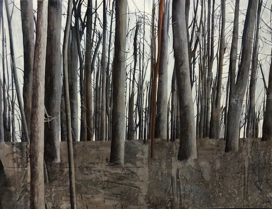 Les vertus du silence